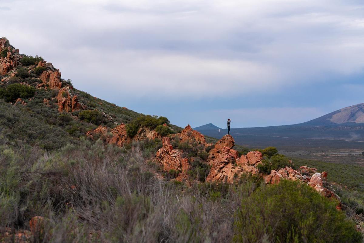 Gecko Rock Private Nature Reserve Goedgemoed エクステリア 写真